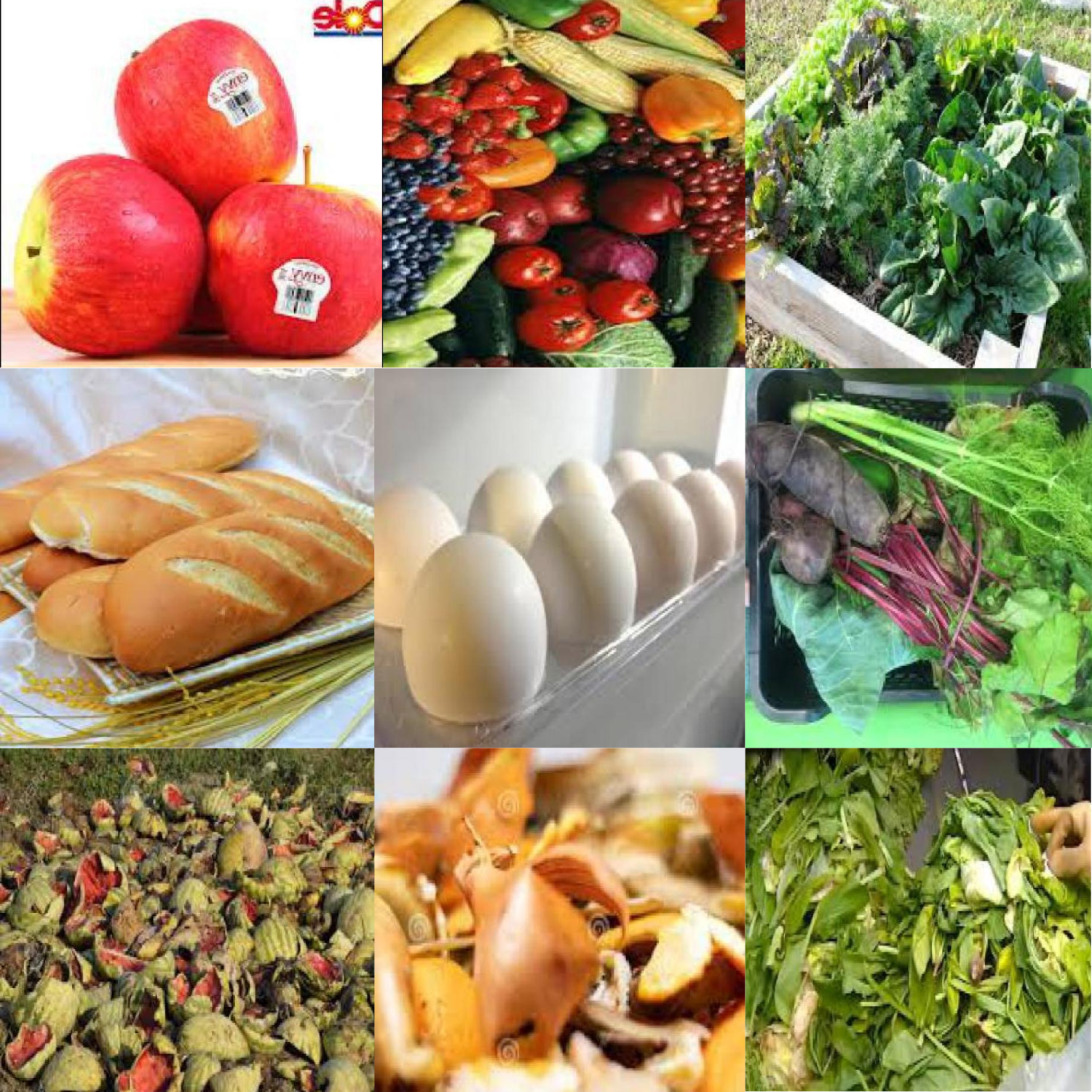 compost class images