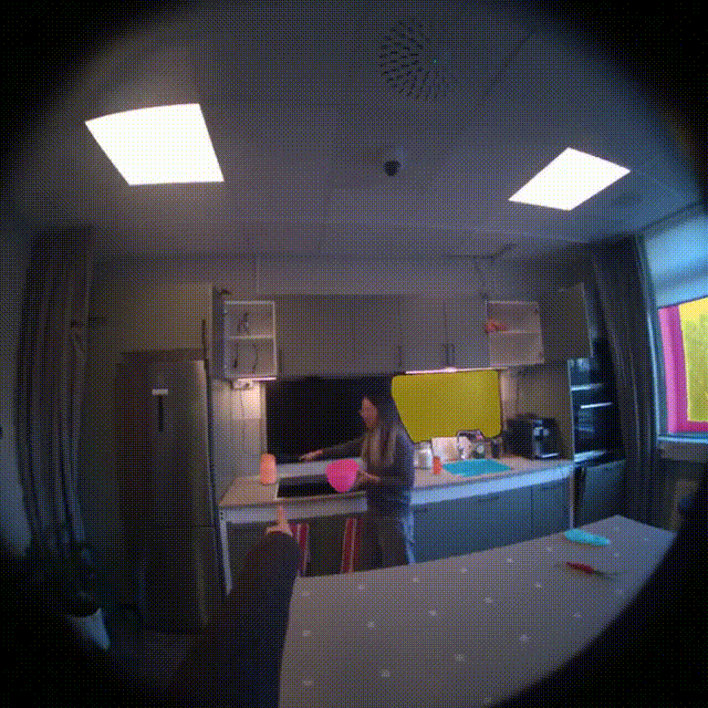 Example from dataset.