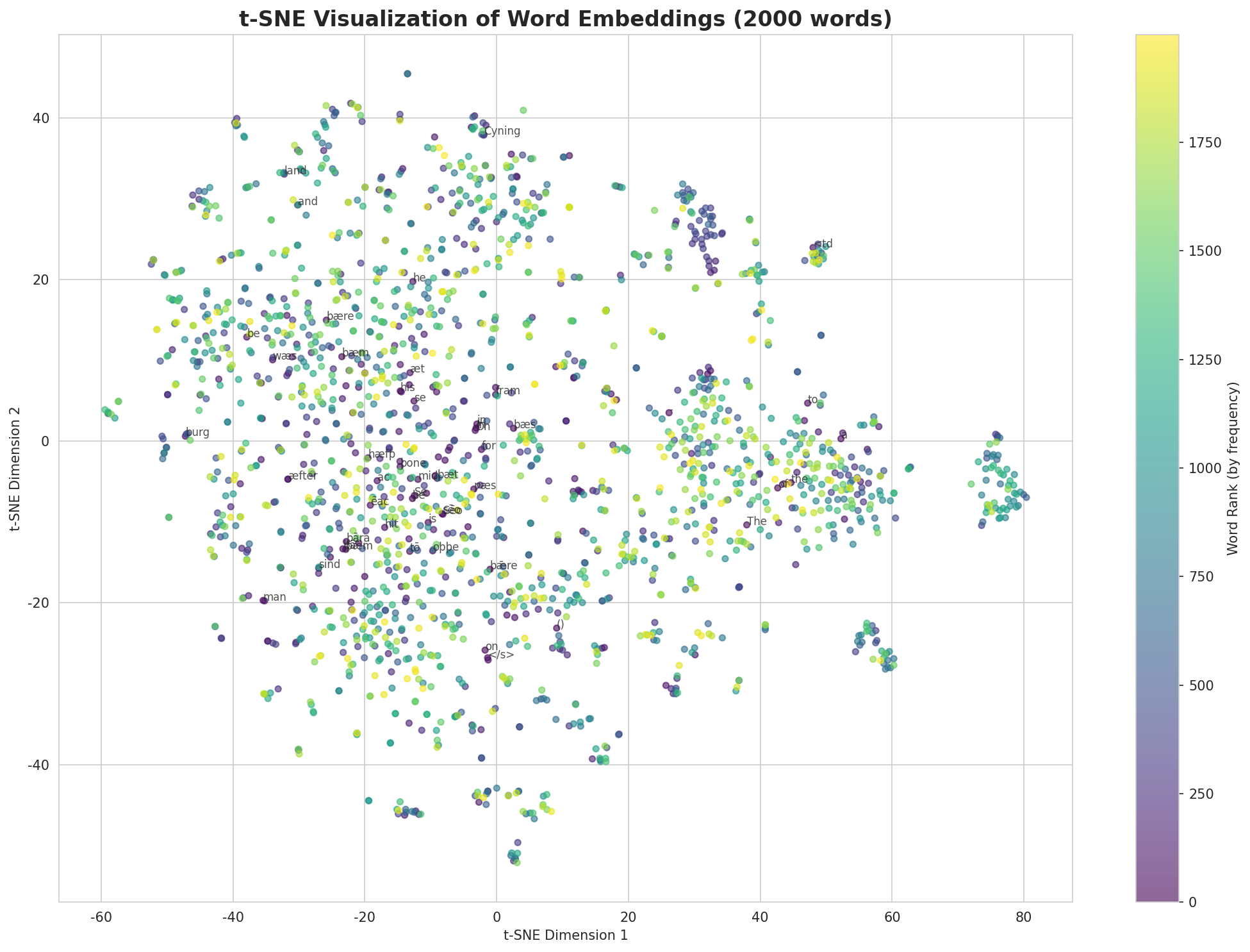 t-SNE Words