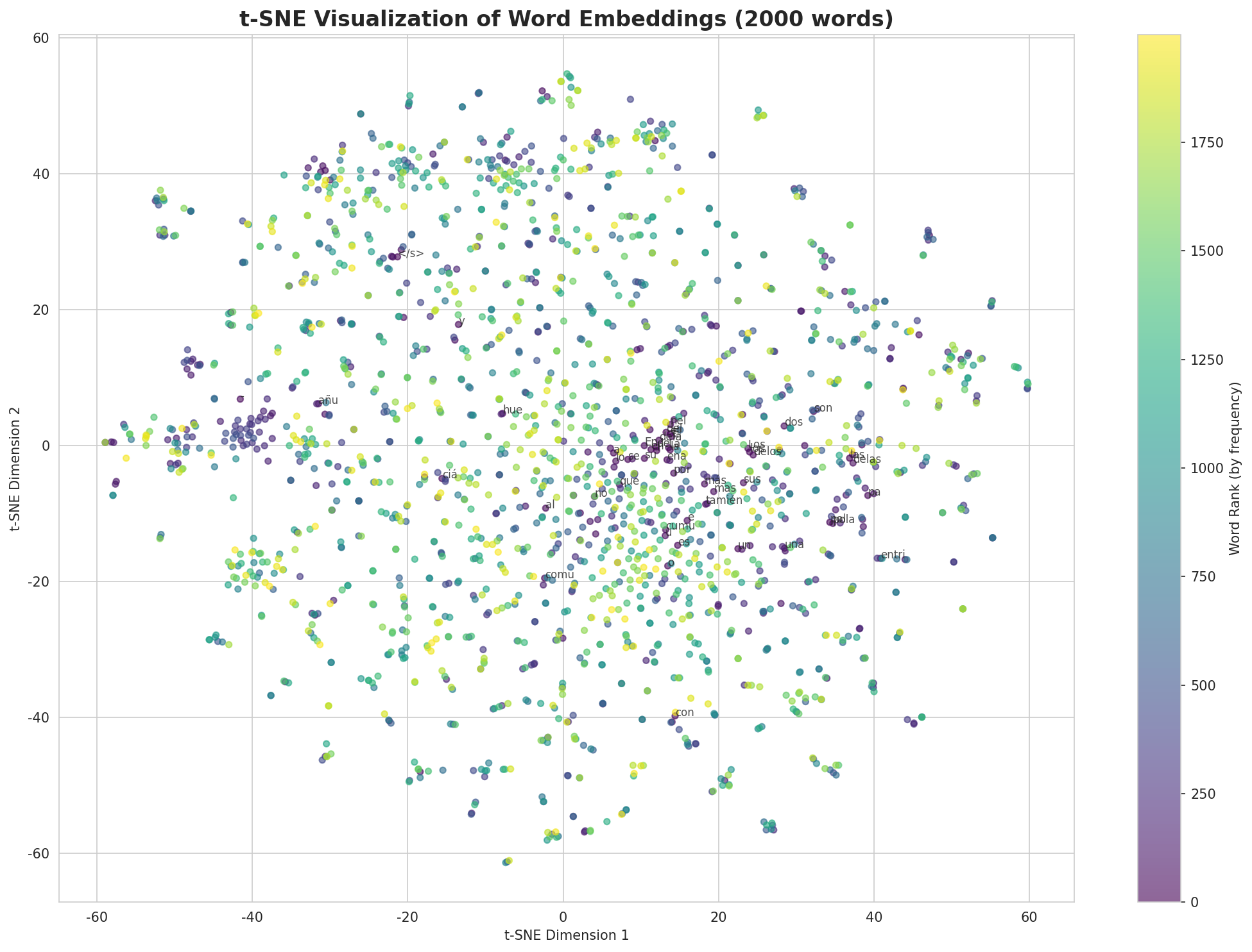 t-SNE Words