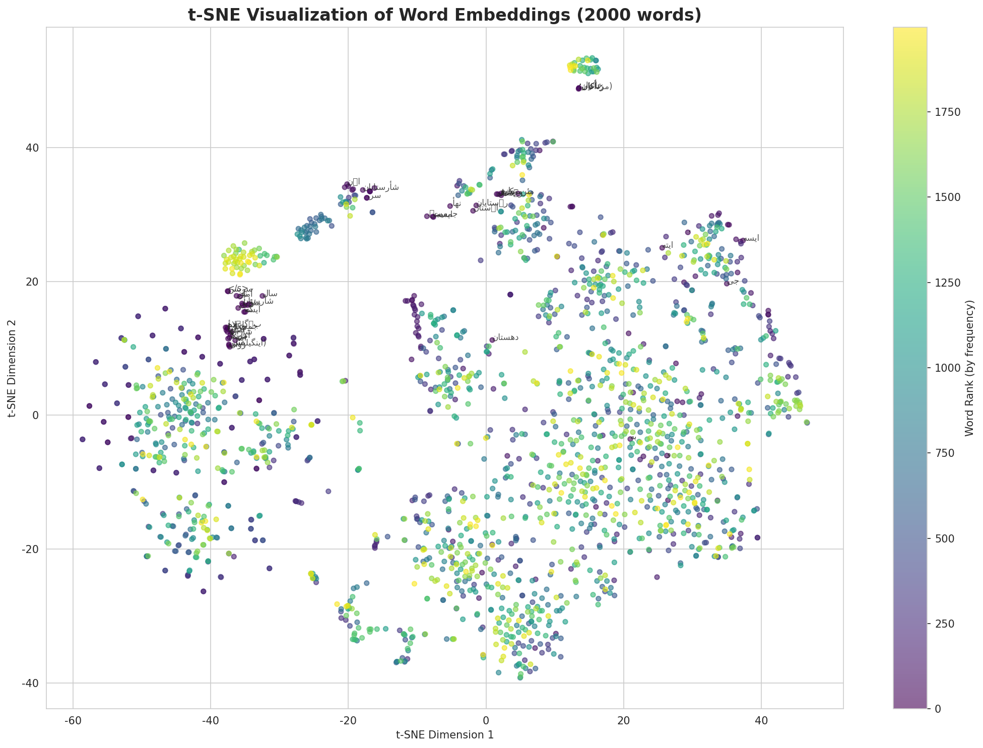 t-SNE Words